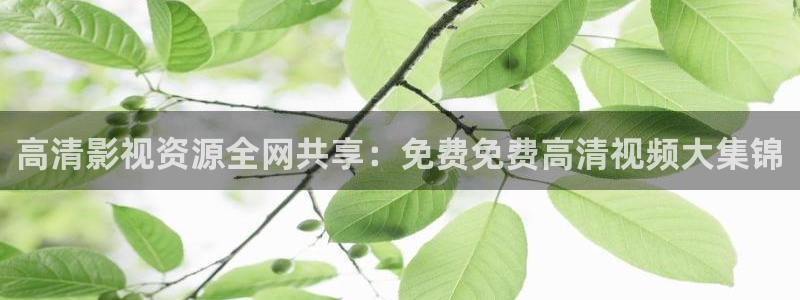 新酷客影院