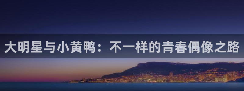 酷客免費(fèi)影視院：大明星與小黃鴨：不一樣的青春偶像之路